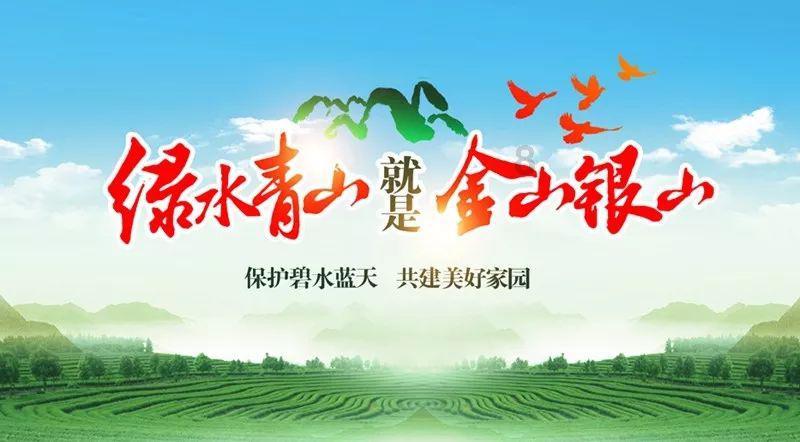 小猫钓鱼游戏龙王版有船