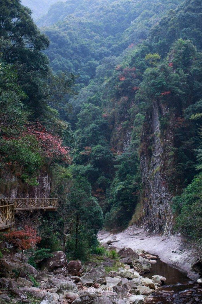 探索知识星球平台-了解对于一首流行歌曲来讲,词更重要还是曲更重要?最新资讯